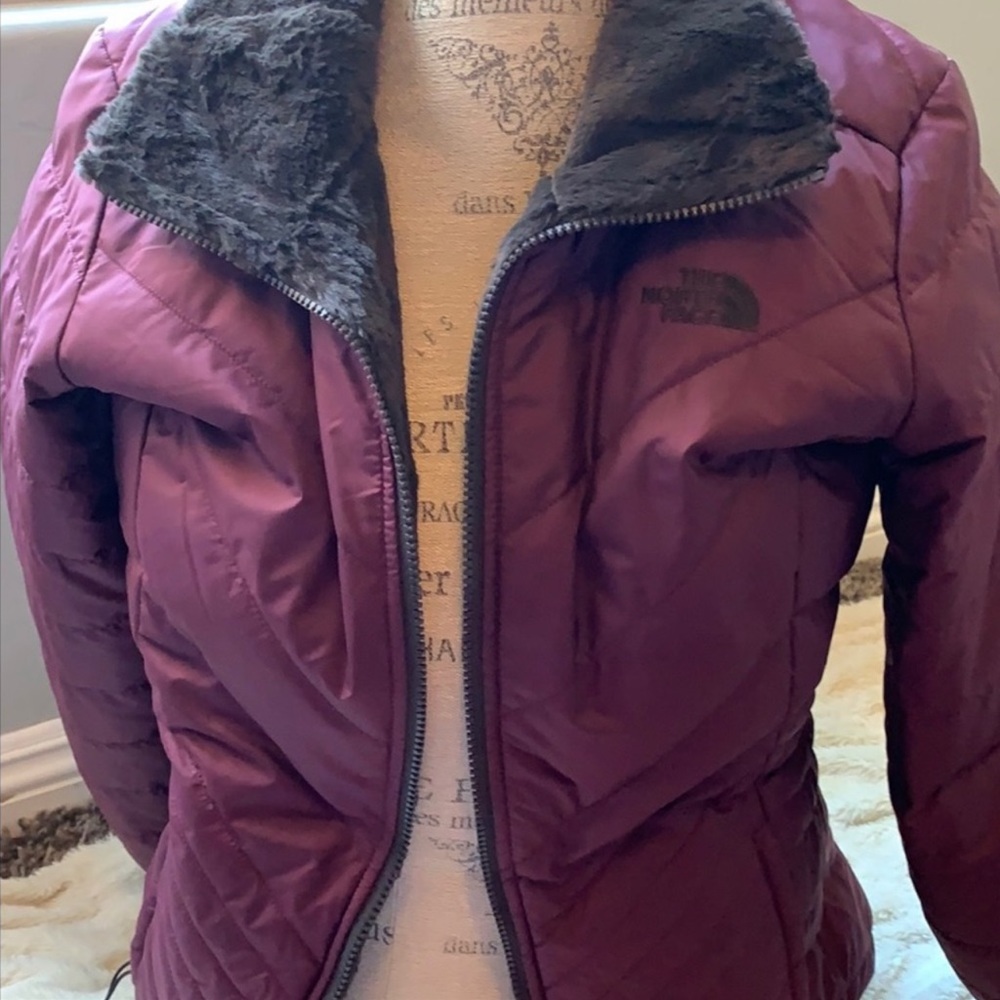The north face jacket